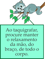 gato conselheiro